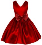 PINK WINGS Girl's' Frock