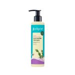 Pilgrim Spanish Rosemary & Biotin Anti Hairfall Shampoo for Reducing Hair Loss & Breakage 200ml | Rosemary shampoo for hair growth | Upto 95% stronger hairs | For all hair types | For Men & Women
