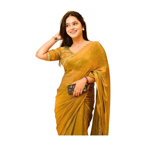 MARGI DESIGNERS Womens New Latest Party Fancy Bollywood Style Fendy Two Tone Chiffon Embellished Hand Lace Work Saree with Blouse