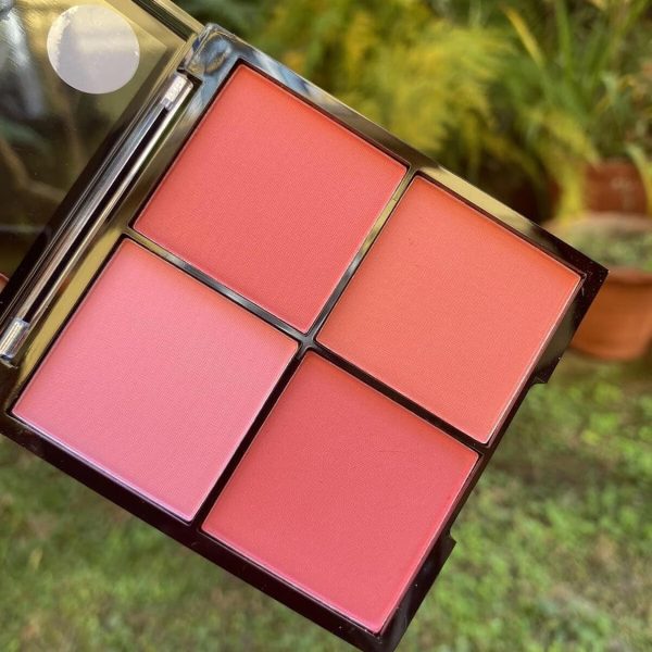 4 IN 1 BLUSHER PALETTE MULTI COLOR PACK OF 1