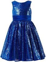 Fairy Dolls Girls Sequined Frock Years