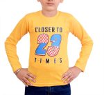 Malvina Boy's Full Sleeve Cotton Tshirts for Kids (Pack of 6) (Multicolor, 1-2 Years) - Image 5