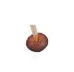 SUNISA Makeup Brushes Kit with A Silver Storage Box - Set of 12 - Image 2