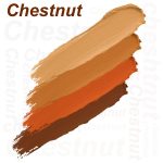 Daily Life Forever52 Matte Finish 4 Color Shades Concealer Kit Multipurpose creamy, lightweight Easy-To-Blend Hydrating Formula For Smooth Long Lasting Natural Finish Perfect Look AC003 - Image 3