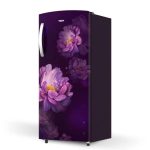 Whirlpool 192 L 3 Star Direct-Cool Single Door Refrigerator (215 IMPRO PRM 3S PURPLE PEONY-Z, 2023 Model) - Image 2