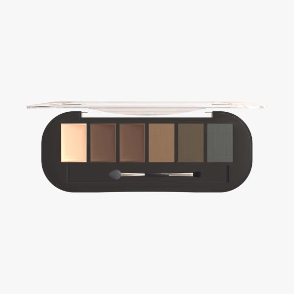 Shryoan Eyebrow Powder with angled eyebrow brush and Spoolie | Long Lasting & Water Proof | (Multi color)
