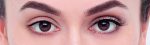 Eylure London False Eyelashes - Fluttery Light No. 117 LIGHT & WISPY (FALSE EYELASHES WITH GLUE) | Long Lasting Up To 5 Wears Black - Image 4