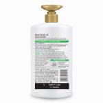 Pantene Advanced Hairfall Solution, 2in1 Anti-Hairfall Silky Smooth Shampoo & Conditioner for Women, 1L - Image 8