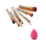 AVTY Makeup Brush Set of 12 with Blunder Puff - Multicolor