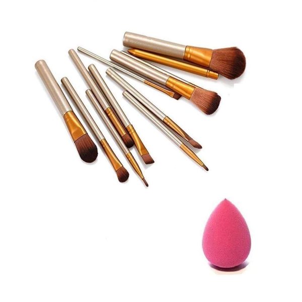 AVTY Makeup Brush Set of 12 with Blunder Puff - Multicolor