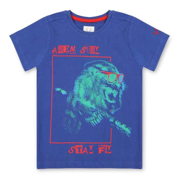 Allen Solly Boy's Regular Fit T-Shirt