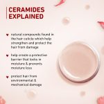 Plum Hibiscus & Ceramides Conditioner | Nourishing Formula with Shea Butter | Smoothens & Strengthens Hair | Prevents Split Ends | 100% Vegan & Cruelty-Free | 175g - Image 6