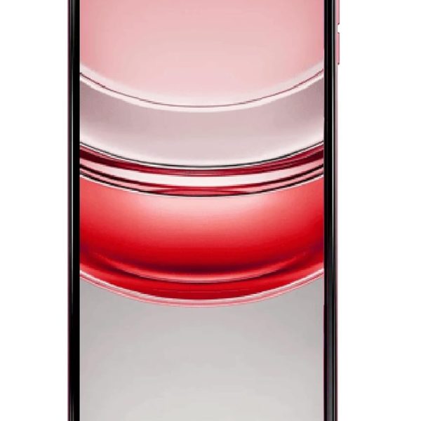 Motorola G64 5G (Red Berry, 8GB RAM, 128GB Storage) | Expandable Upto 2TB | 50MP (OIS) + 8MP Ultra-Wide | 16MP Front Camera | MediaTek Dimensity 7025 Processor | 6000 mAh Battery