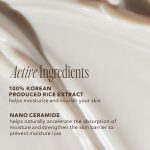 The Face Shop Rice & Ceramide Moisturizing Cream with Rice Extracts for Skin Brightening | Ceramide Moisturizer For Skin Barrier Repair | Paraben & Paraffins Free, Korean skin care products, 50ml - Image 3