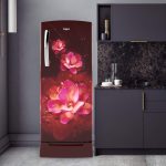 Whirlpool 215 L 4 Star Inverter Direct-Cool Single Door Refrigerator with Intellisense inverter technology(230 IMPRO ROY 4S INV WINE FLUME, Wine Flume), Free 1 Year Extended warranty - Image 7