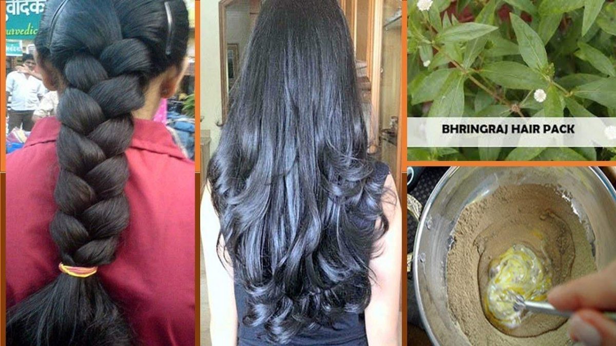 BRALCON Organic Raw Bhringraj -100g| Eclipta Alba | 100% Pure & Natural Bhringraj Leaves | Nourishment of Skin And Hair| Ayurvedic Bhringraj Dry Leaves for Hair Care Pure raw form - Image 5