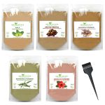 Shudh Online Amla, Reetha, Bhringraj, Shikakai & Hibiscus Powder combo for hair growth (50 grams each)