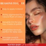 Just Herbs Water Baby Smudge & Transfer Proof | 12hrs Stay | Richly Pigmented Infused with Aloe Vera Multipurpose Water Tint for Lips, Cheeks and Eyelids for Women - Image 4