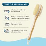 Bloom 2-in-1 Long Handle Body Brush | For Skin Exfoliation and Massage | Reduces Cellulite | Stimulates Blood Circulation & Reduces Dead Skin Cells | Natural, Soft Bristles | (1 unit) - Image 4