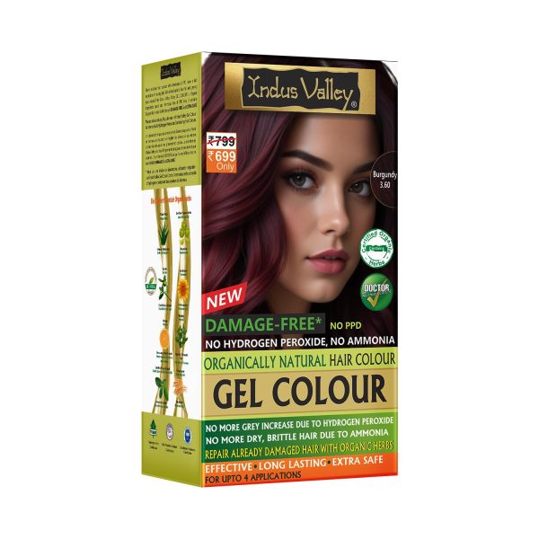 INDUS VALLEY Damage Free Natural Gel Hair Colour for Women | Ammonia & PPD Free Organic Hair Colour with 100% Grey Coverage, Long Lasting Conditioning Hair Color | Burgundy 1.00-220 ml