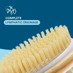 Bloom 2-in-1 Long Handle Body Brush | For Skin Exfoliation and Massage | Reduces Cellulite | Stimulates Blood Circulation & Reduces Dead Skin Cells | Natural, Soft Bristles | (1 unit) - Image 6