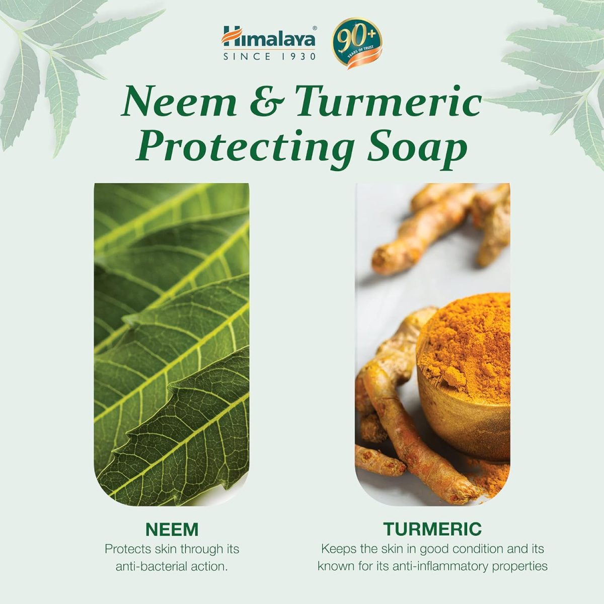 Himalaya Herbals Protecting Neem and Turmeric Soap, 75gm - Image 3