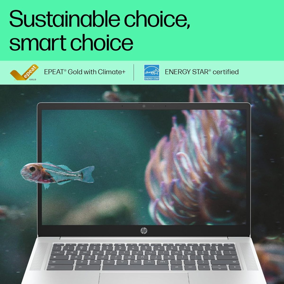 HP Chromebook 14, Chrome OS, Intel Processor N100, Chromeos, 14-Inch (35.6 Cm),Hd, 4Gb LpDDR5,64GB Emmc, Intel UHD Graphics, 720P HD Camera W/Privacy Shutter, Thin & Light (Silver, 1.45 Kg), Nf0014Tu - Image 8