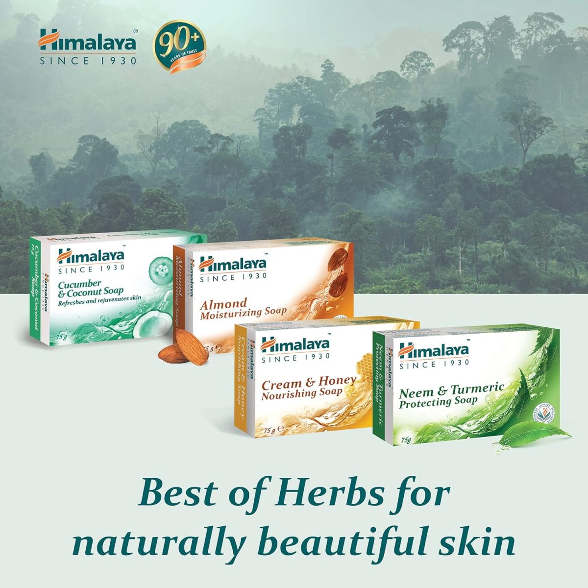 Himalaya Herbals Protecting Neem and Turmeric Soap, 75gm - Image 6