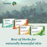 Himalaya Herbals Protecting Neem and Turmeric Soap, 75gm - Image 6